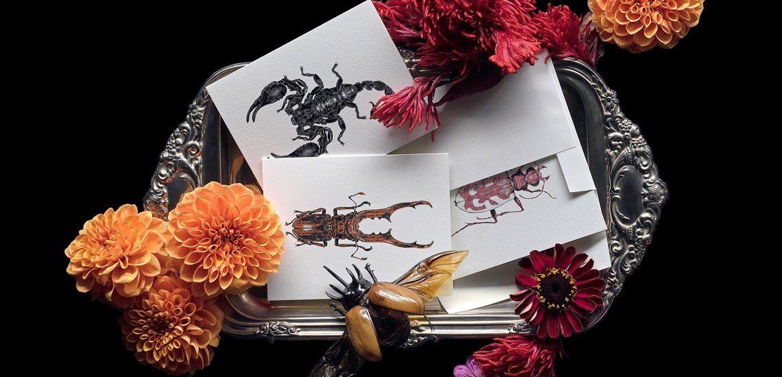 magic cards surrounded by flowers and bug by Melissa Constandse