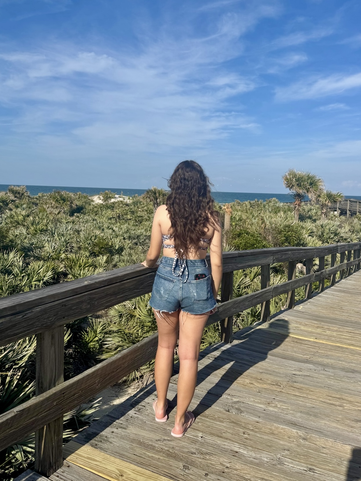 img 0091jpegjpg by My timer on the camera?width=698&height=466&fit=crop&auto=webp&dpr=4