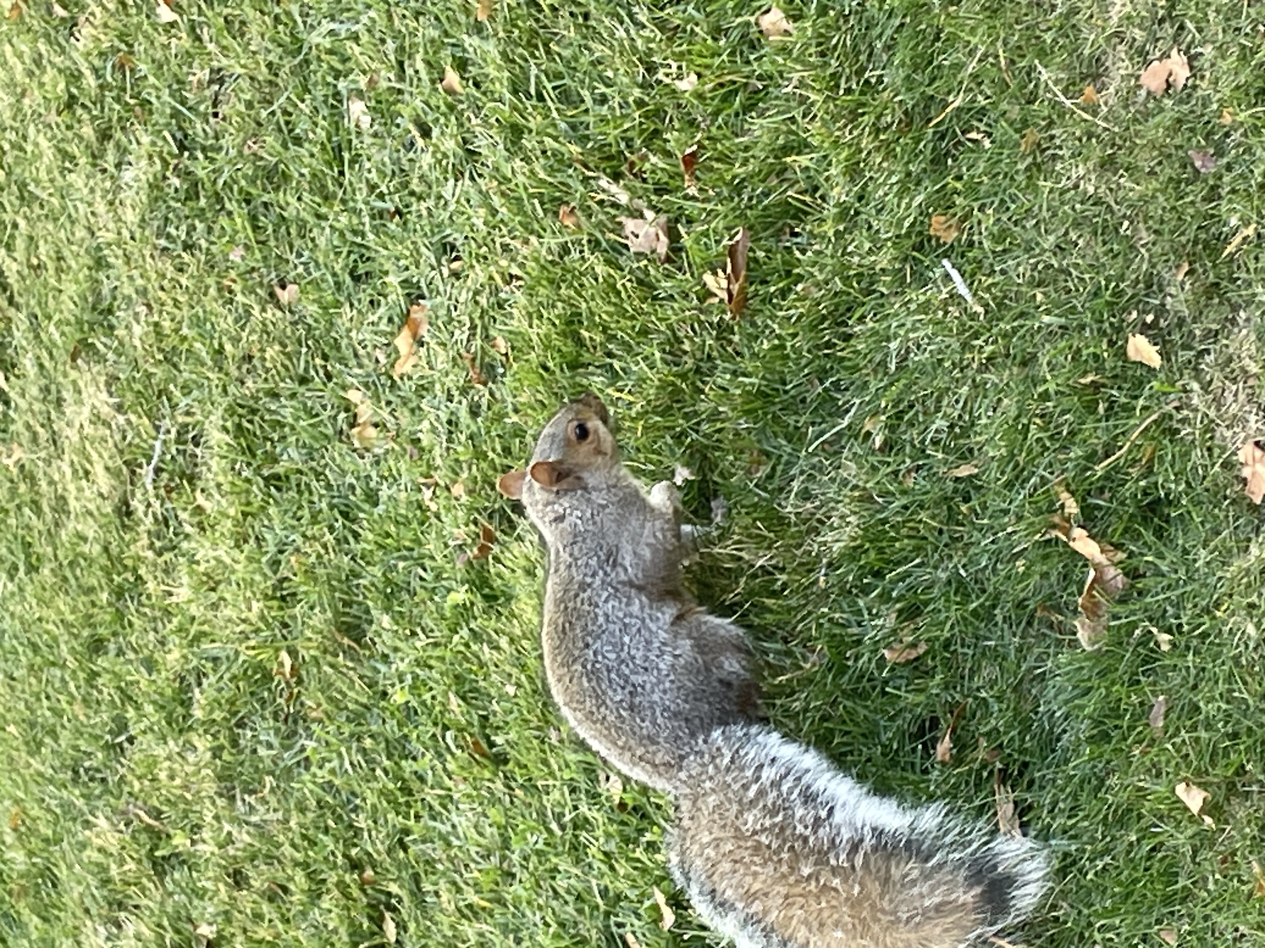 img 6995 1jpegjpg by Minal Faheem?width=698&height=466&fit=crop&auto=webp&dpr=4