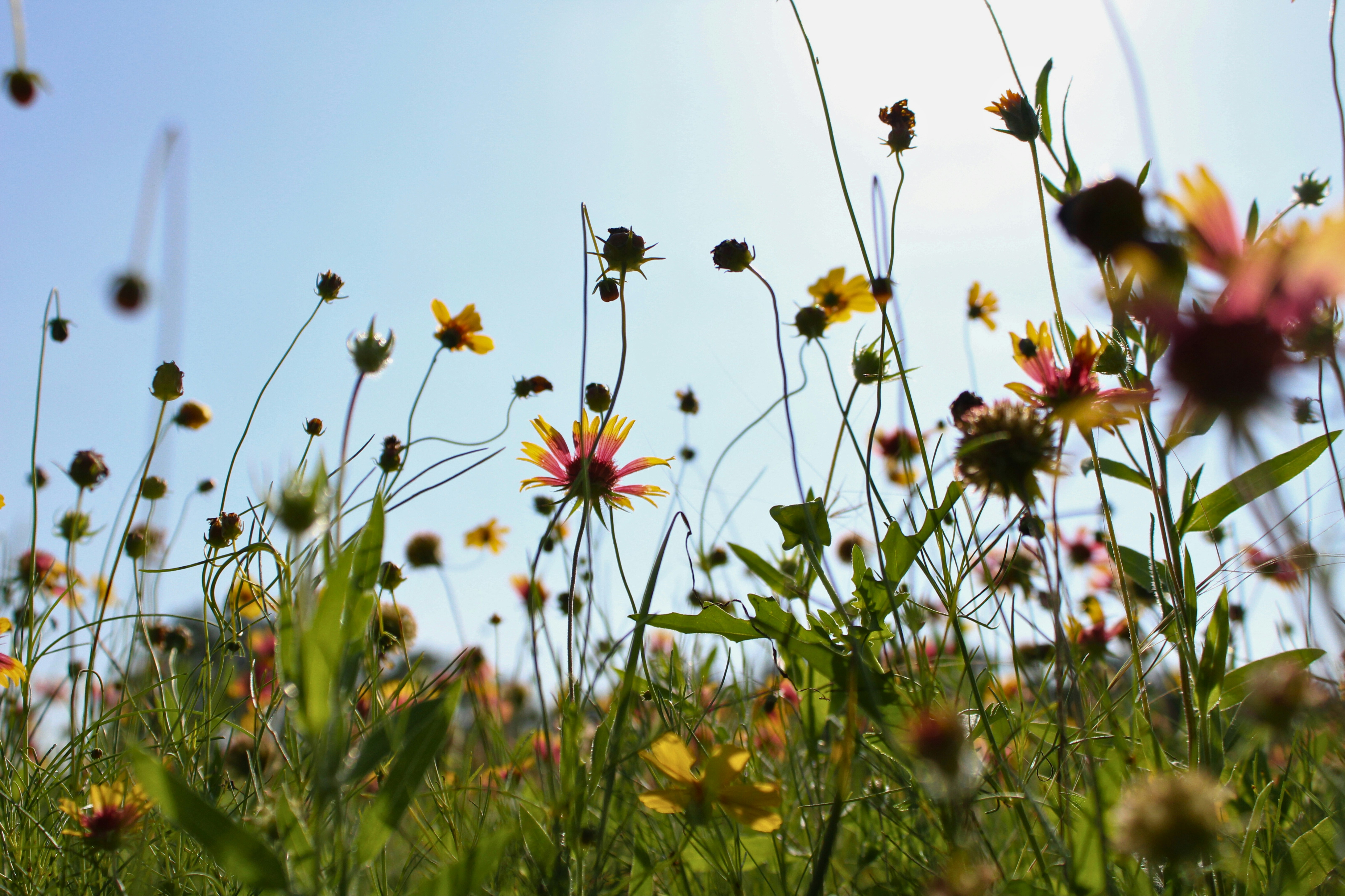 hannahjanssent8nbdul9ry4unsplashjpg by Photo by Hannah Janssen from Unsplash?width=698&height=466&fit=crop&auto=webp&dpr=4