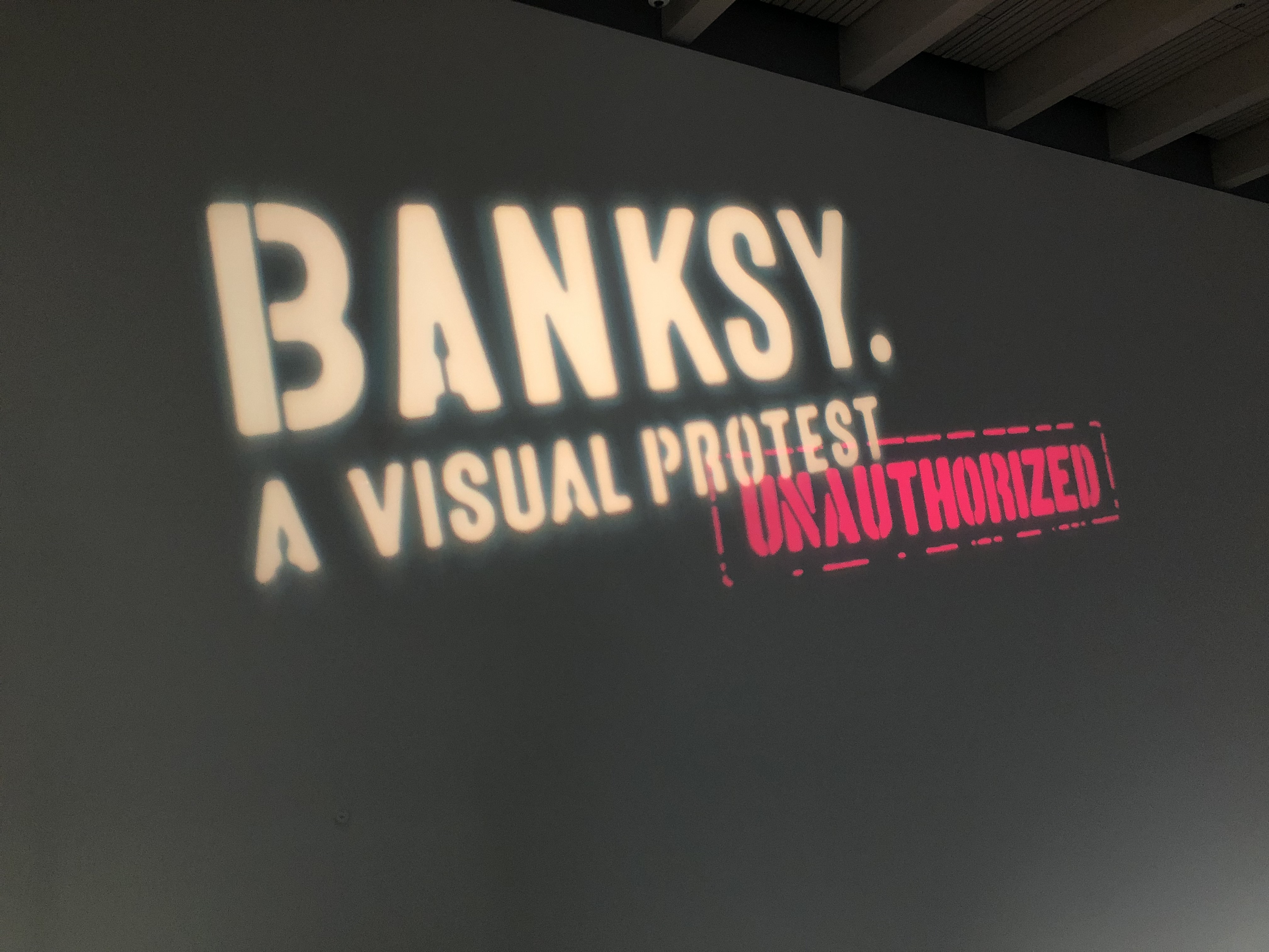 img 2544jpg by Diana Salim