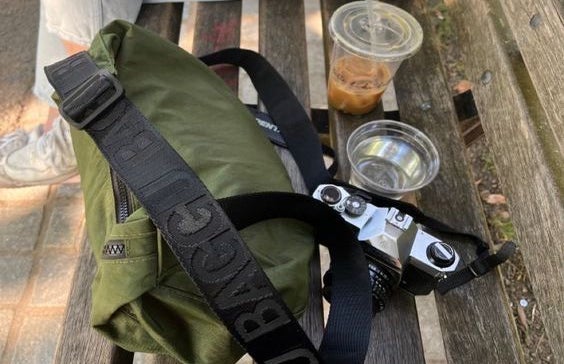 Baggu brand bag on park bench